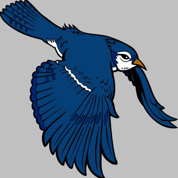 bluejay9 Thumbnail
