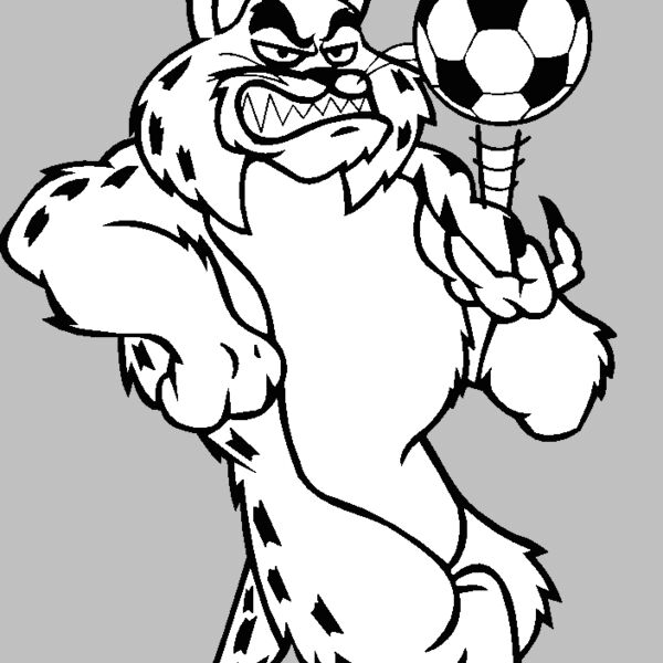 bobcatscrbns2 Thumbnail