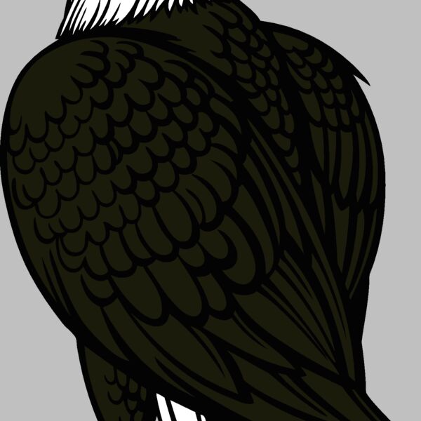 eagle10v4clr Thumbnail