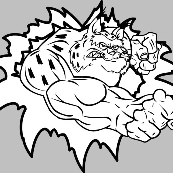 bobcattear2 Thumbnail