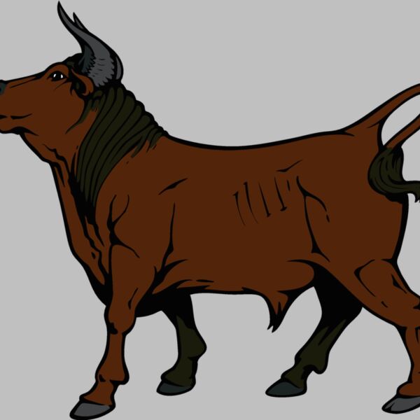 bull10v4clr Thumbnail