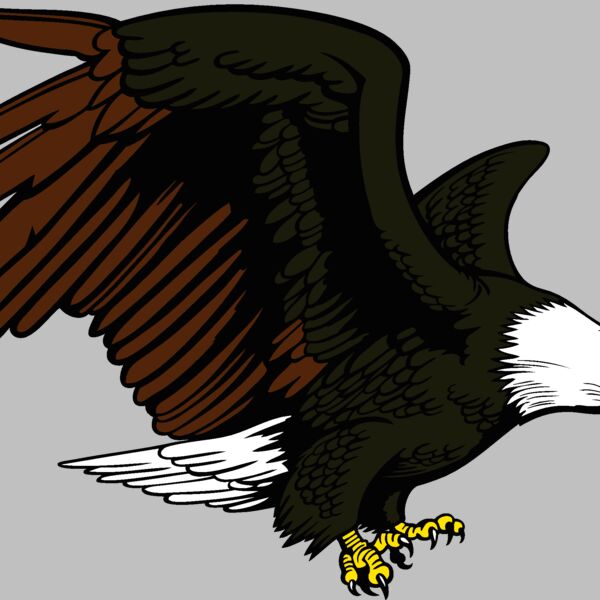 eagle12v4clr Thumbnail