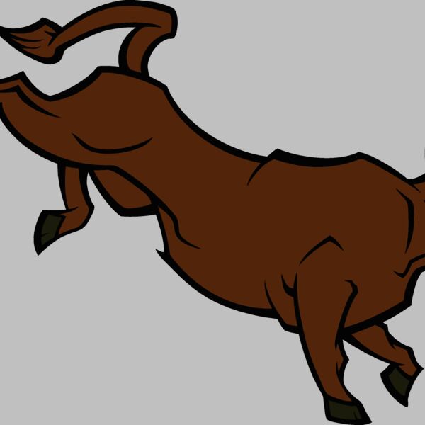 bull02v4clr Thumbnail