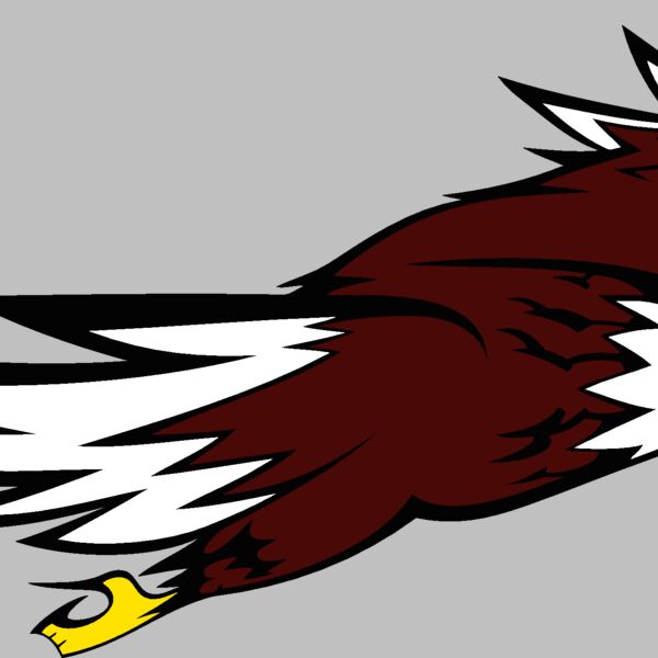 eagle11v4clr Thumbnail