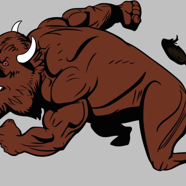 bisonmsct03 Thumbnail