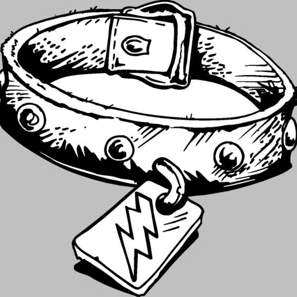 dog collar 2 Thumbnail