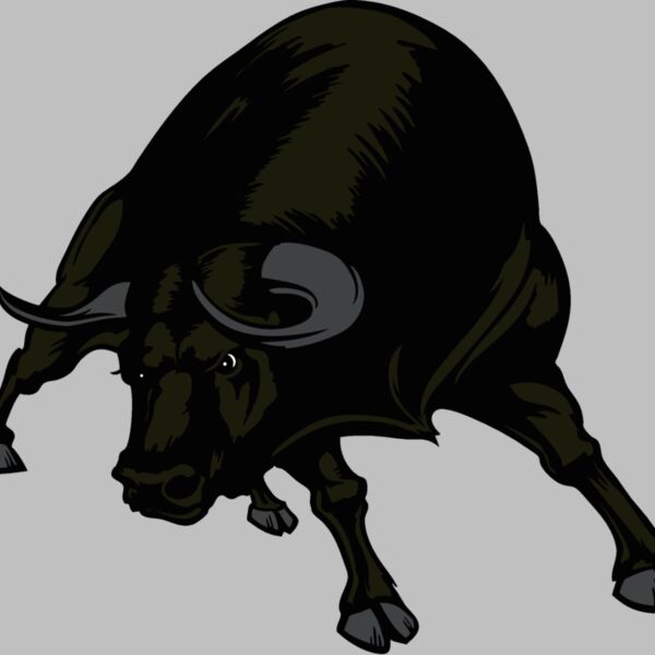 bull01v4clr Thumbnail