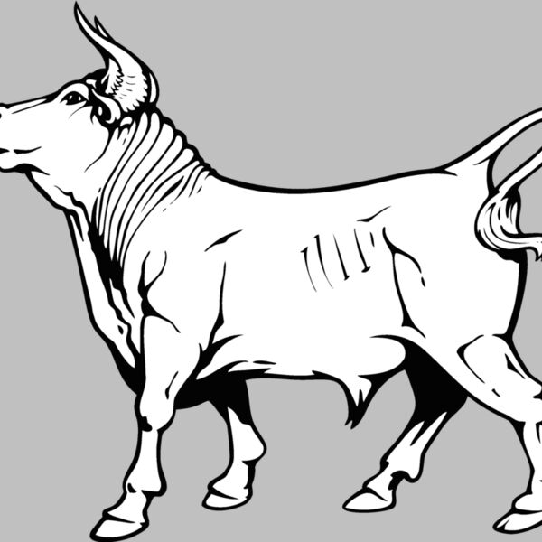 bull10v4bw Thumbnail