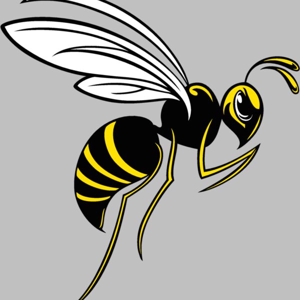 bee02v4clr Thumbnail