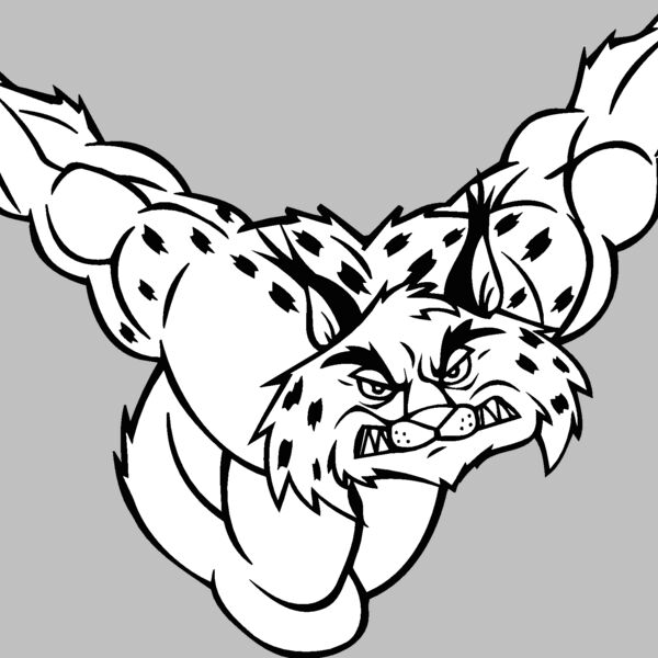 bobcat5 Thumbnail