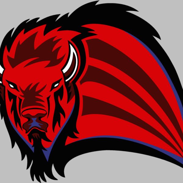 buffaloj011 Thumbnail