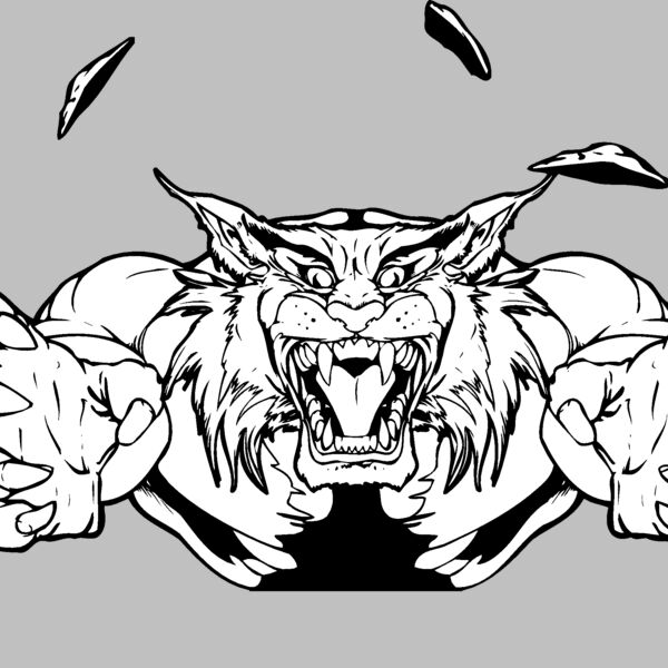 bobcat wildcat busting out Thumbnail