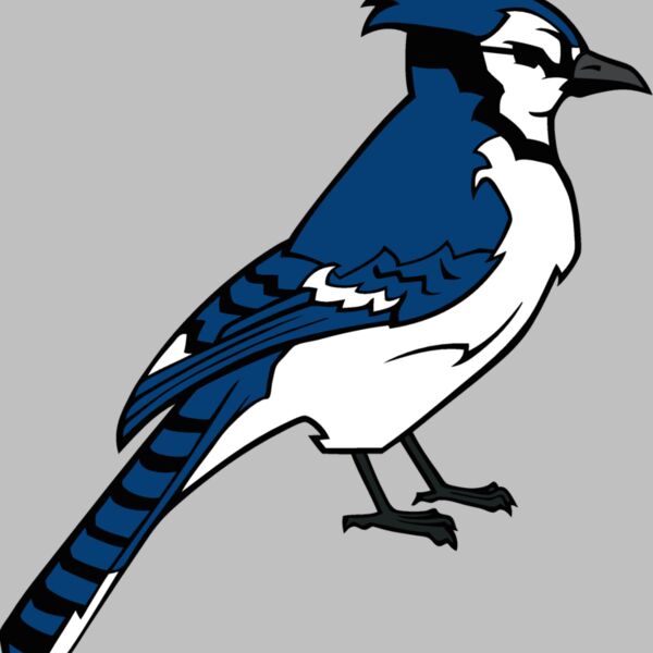 bluejay12 Thumbnail