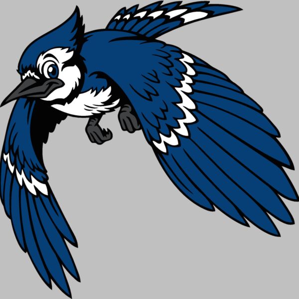 bluejay13 Thumbnail