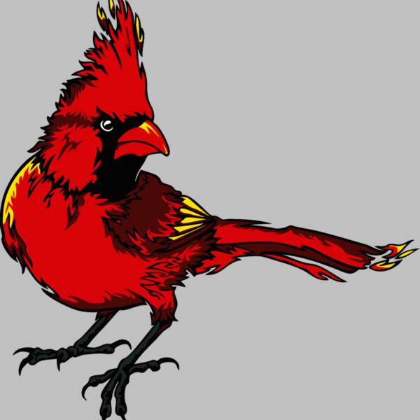 cardinalm08 Thumbnail