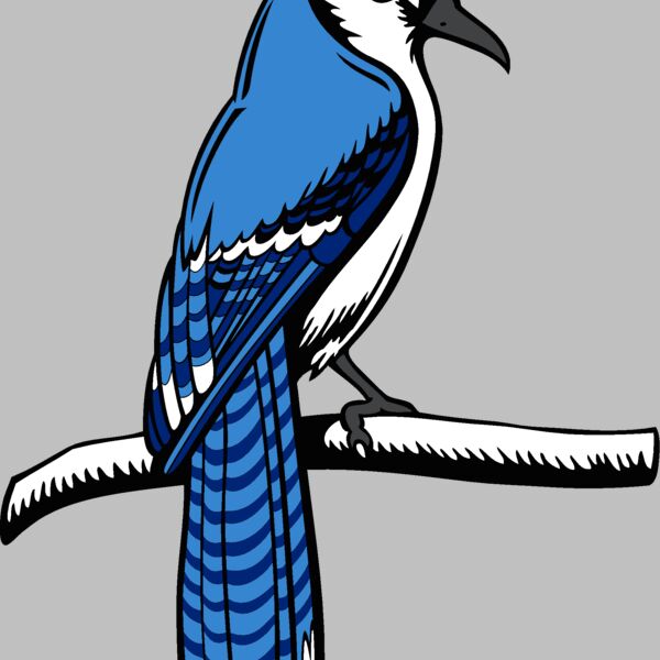 bluejay15 Thumbnail