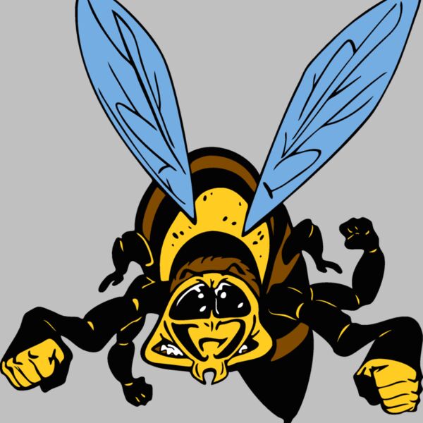 waspmsct01 Thumbnail