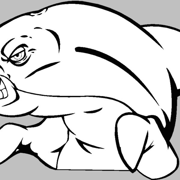 dolphin404 Thumbnail