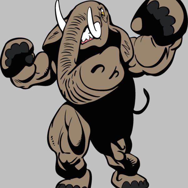 elephantmsct1 Thumbnail