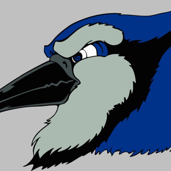 bluejay23 Thumbnail