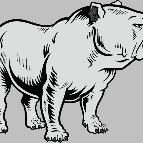 bulldog18v4clr Thumbnail