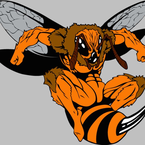 yellowjacket Thumbnail
