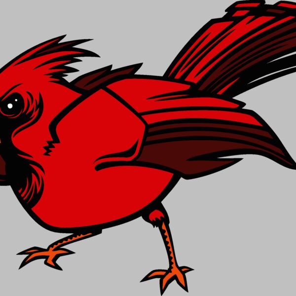 cardinal03v4clr Thumbnail