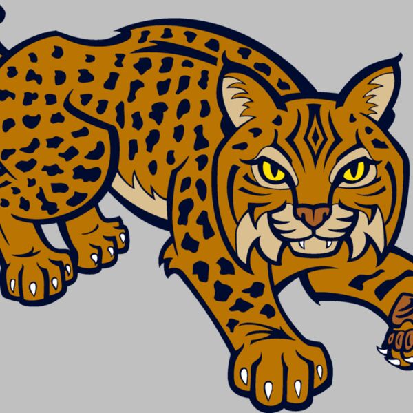 wildcat10v4clr Thumbnail