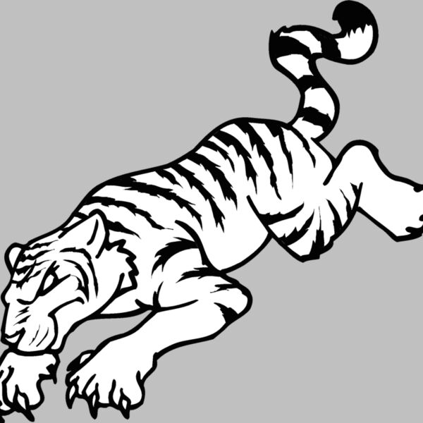 tiger8 Thumbnail