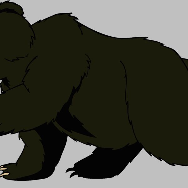 bear91 Thumbnail