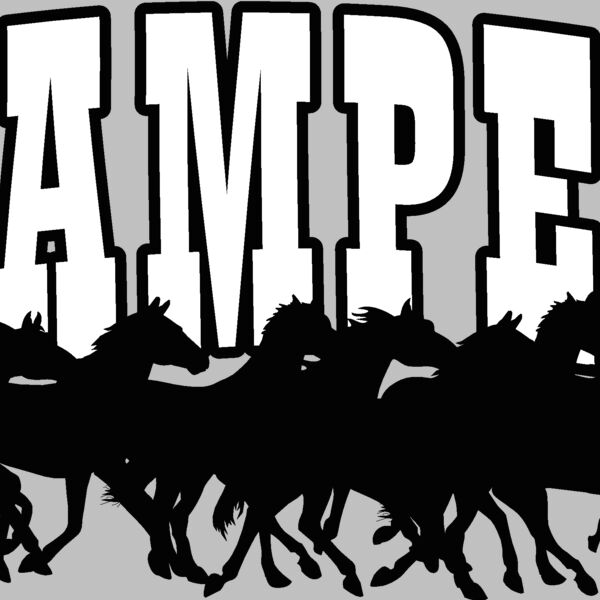 stampede Thumbnail