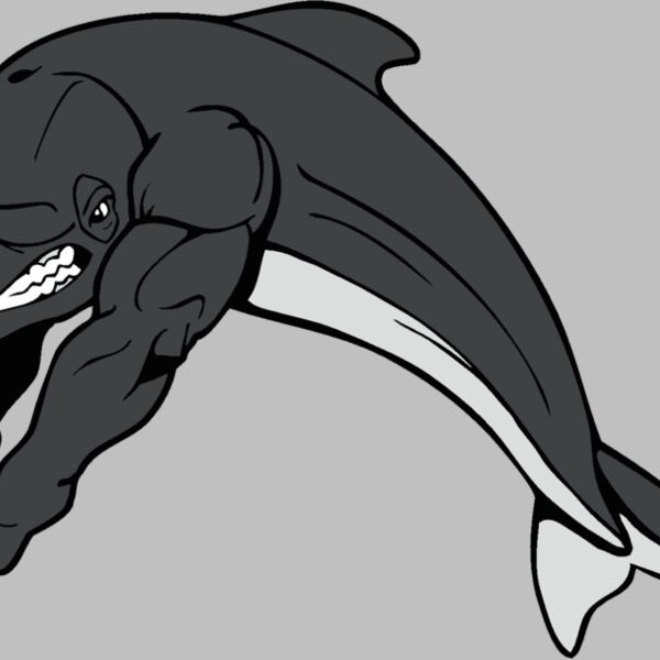 dolphinswm2 Thumbnail