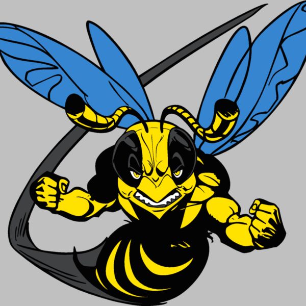 yellwjacket1 Thumbnail