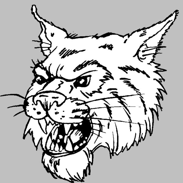 wildcathead04 Thumbnail