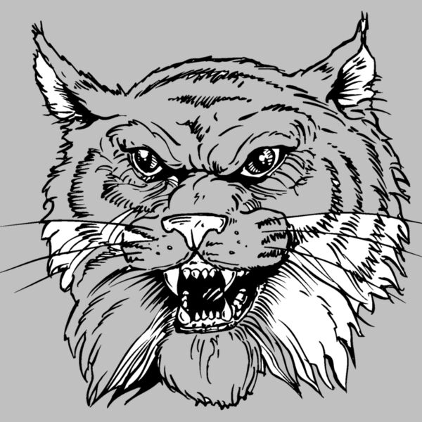 wildcathead05 Thumbnail