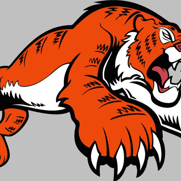 tiger11v4clr Thumbnail