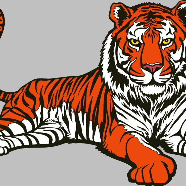 tiger06v4clr Thumbnail