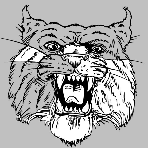 wildcathead06 Thumbnail