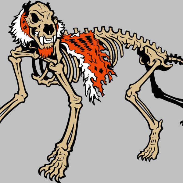 tiger skeleton Thumbnail
