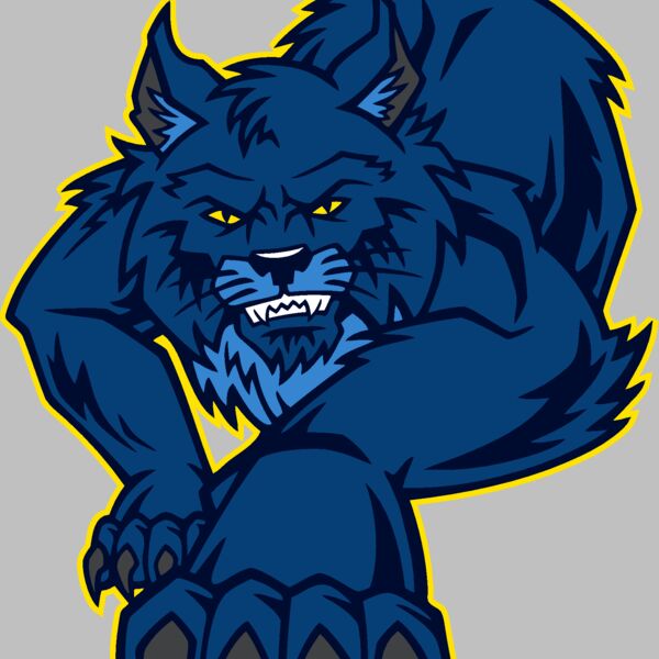 wildcat01v4clr Thumbnail