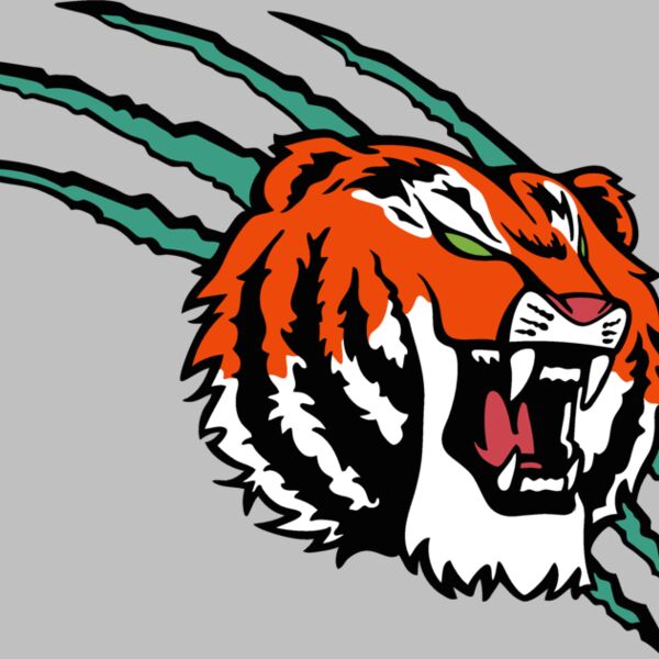 tiger07v4clr Thumbnail