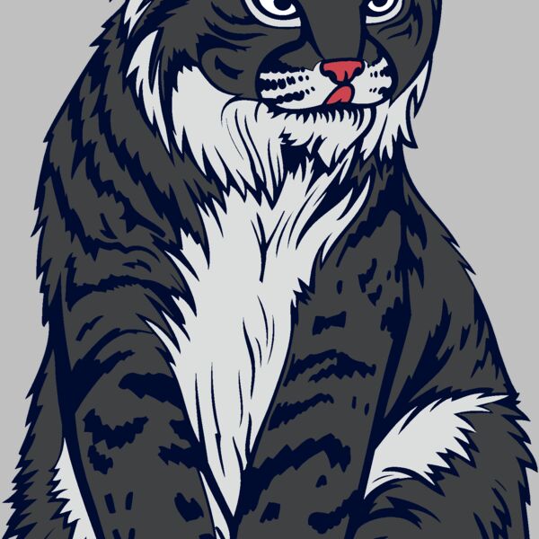 wildcat07v4clr Thumbnail