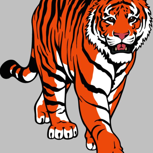 tiger15v4clr Thumbnail