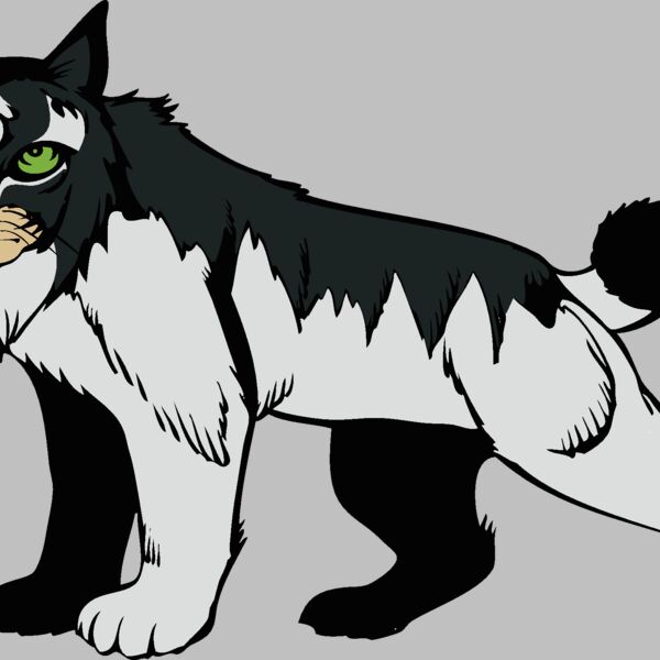 wildcat15v4clr png Thumbnail