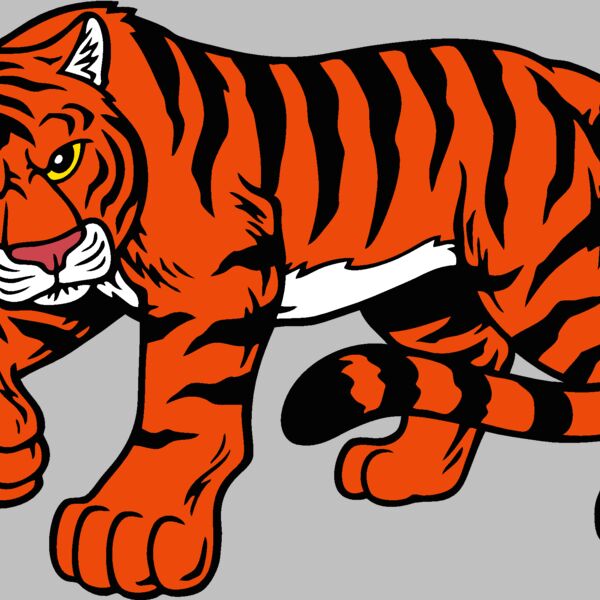 tiger02v4clr Thumbnail