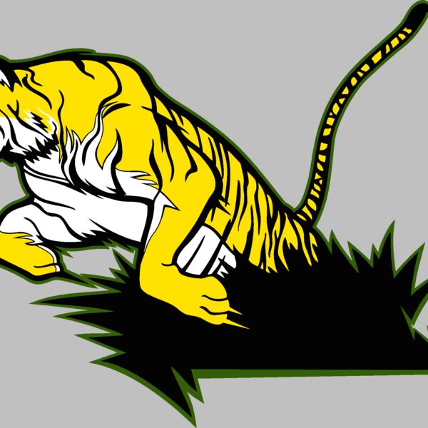 tiger16v4clr Thumbnail