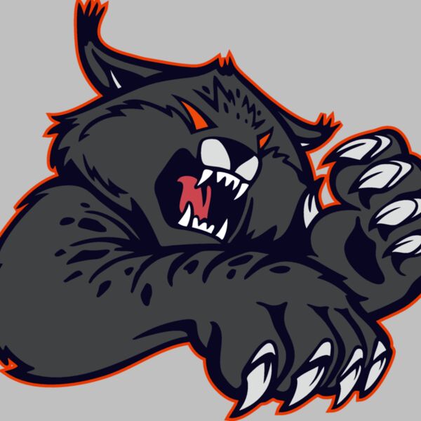 wildcat08v4clr Thumbnail