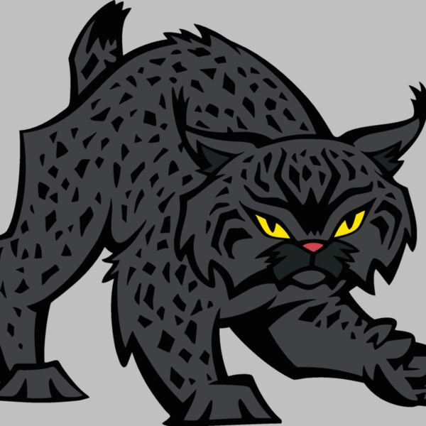 wildcat09v4clr Thumbnail