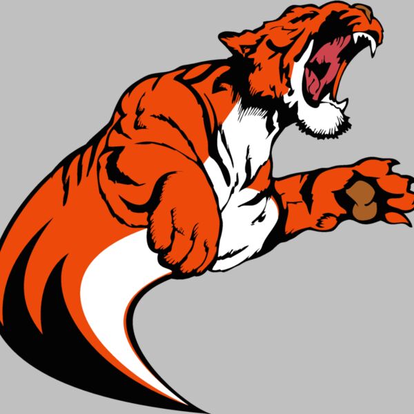 tiger17v4clr Thumbnail