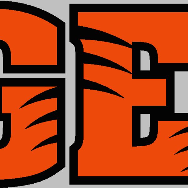 tigerlogo9v4clr Thumbnail